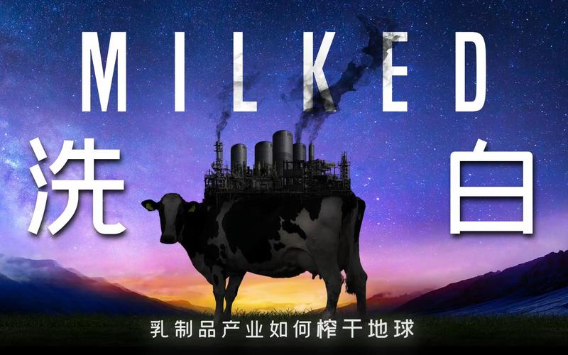 揭底新西兰乳制品产业的重磅纪录片milked洗白中文预告